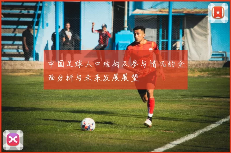 中国足球人口结构及参与情况的全面分析与未来发展展望