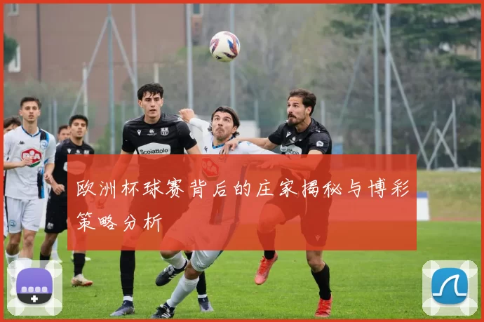 欧洲杯球赛背后的庄家揭秘与博彩策略分析